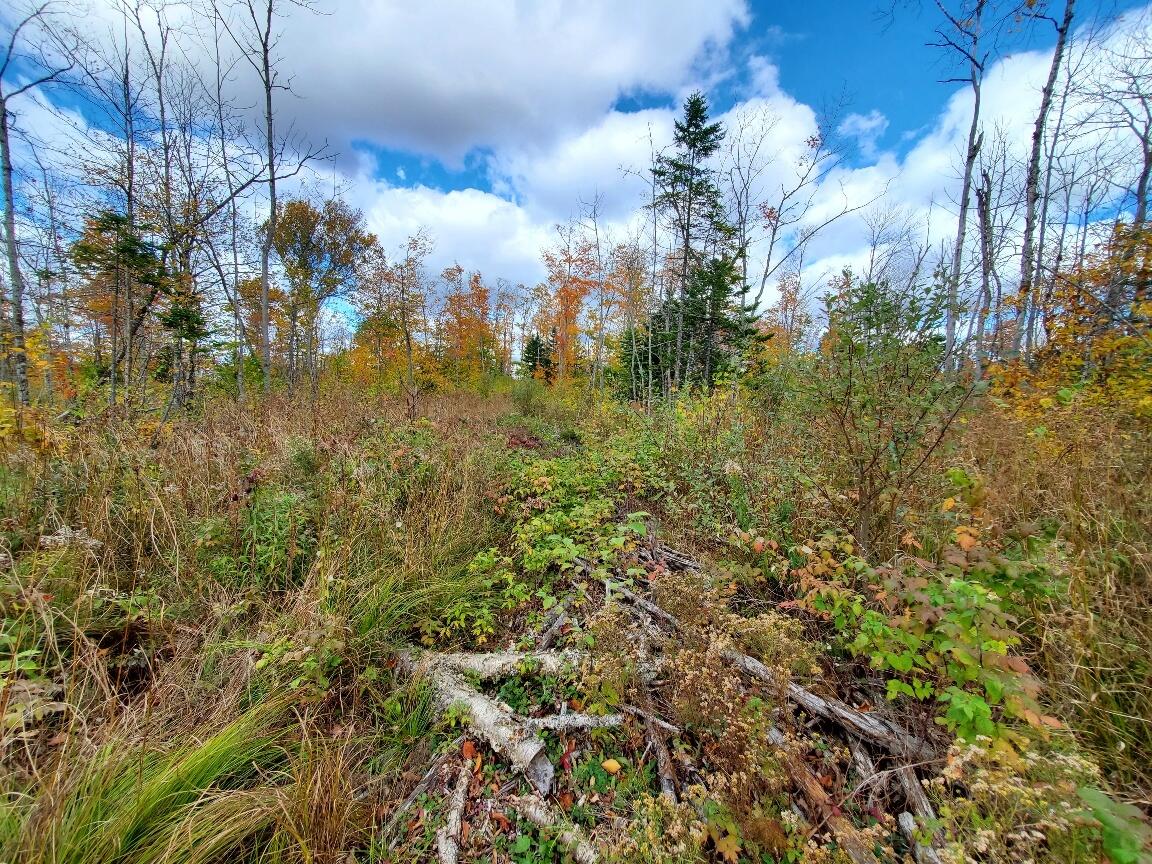 91 Greenleaf Brook Road Amity ME 04730