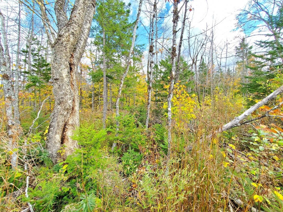 91 Greenleaf Brook Road Amity ME 04730