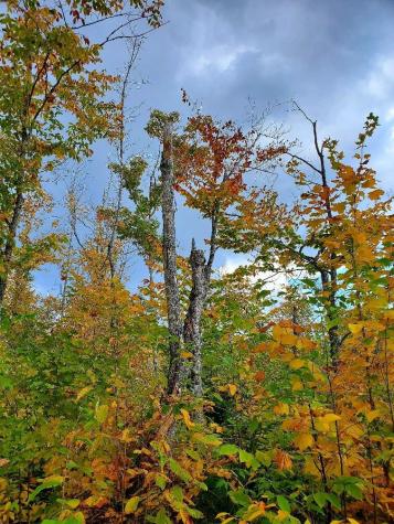 91 Greenleaf Brook Road Amity ME 04730