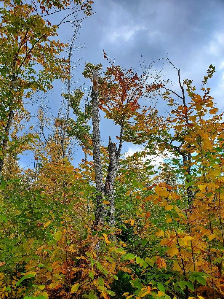 91 Greenleaf Brook Road Amity ME 04730