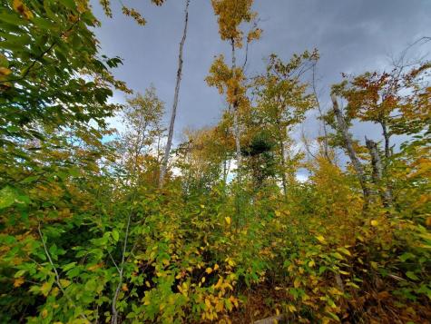 91 Greenleaf Brook Road Amity ME 04730