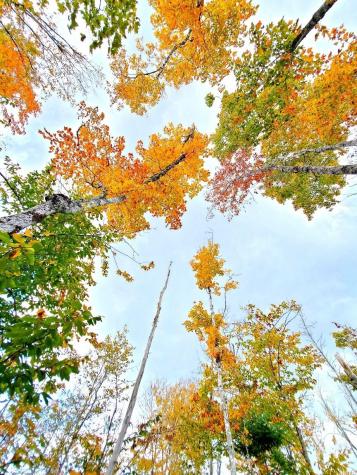 91 Greenleaf Brook Road Amity ME 04730