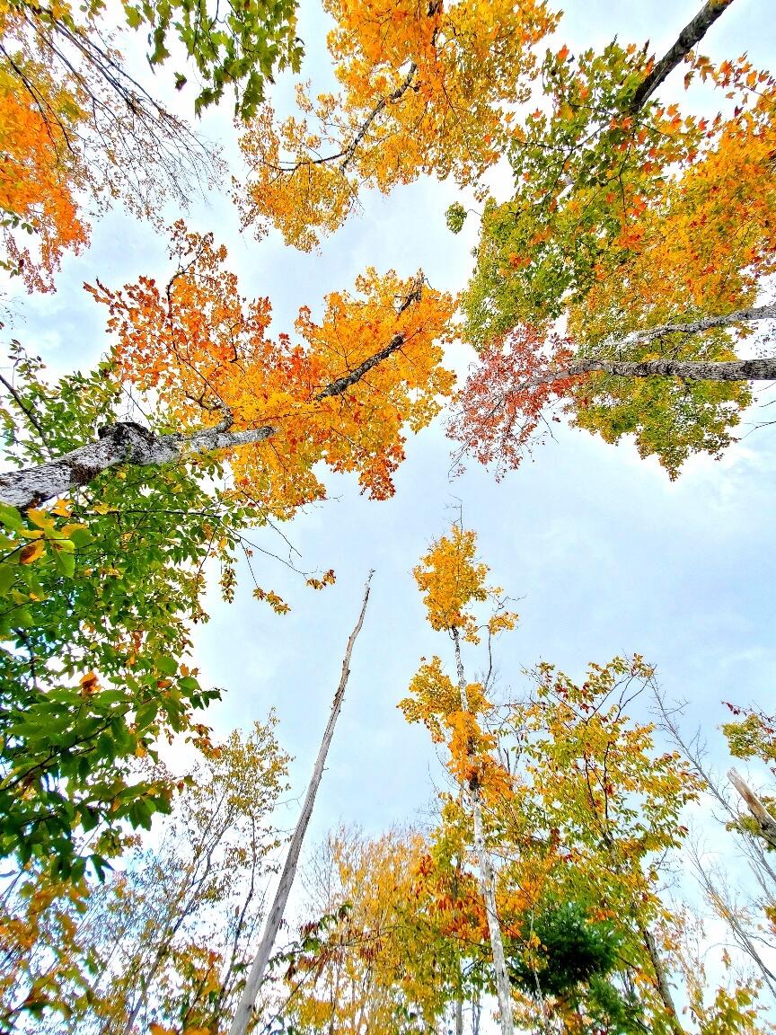 91 Greenleaf Brook Road Amity ME 04730