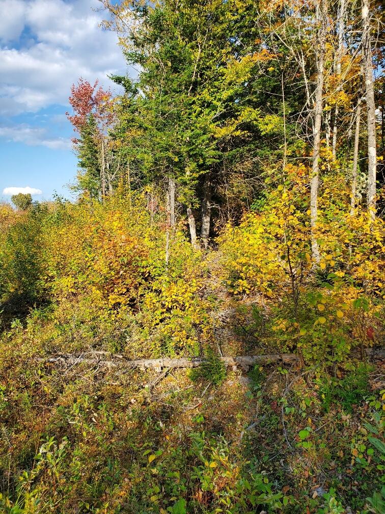 91 Greenleaf Brook Road Amity ME 04730