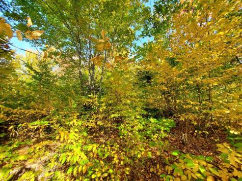 91 Greenleaf Brook Road Amity ME 04730