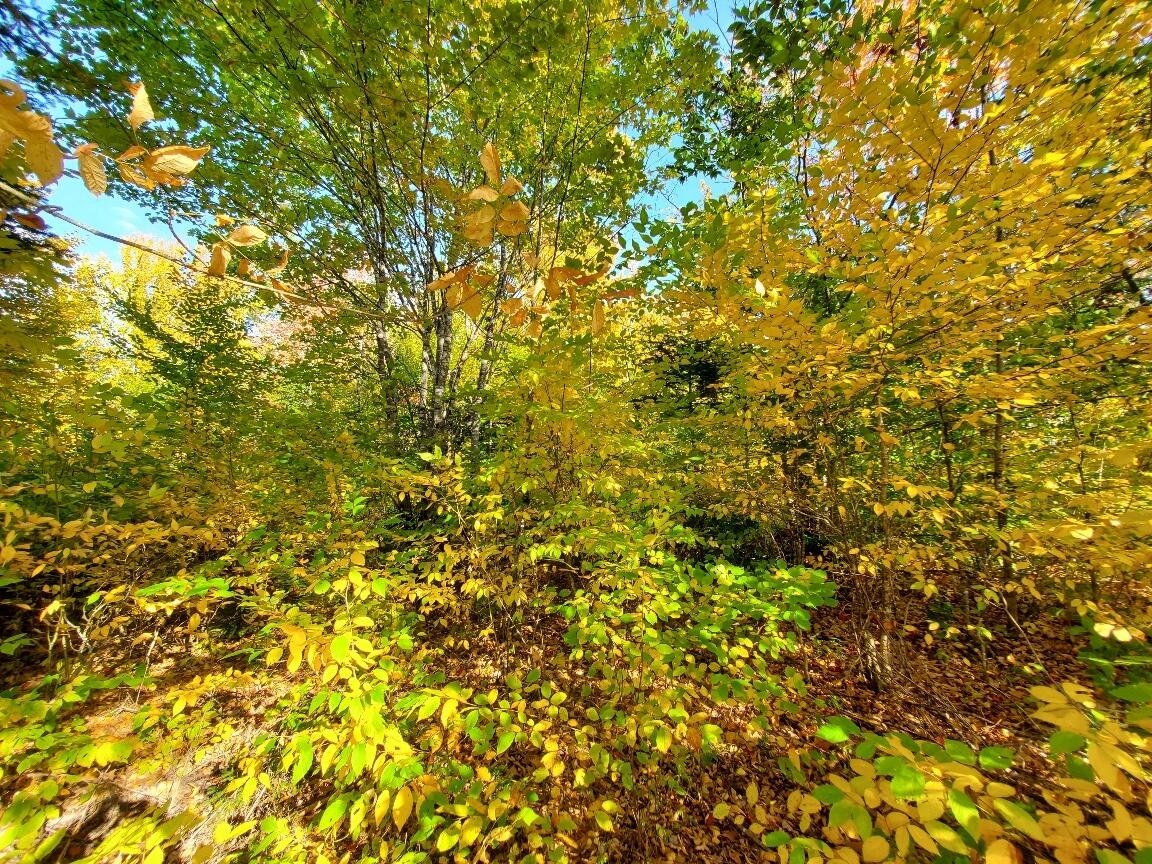 91 Greenleaf Brook Road Amity ME 04730