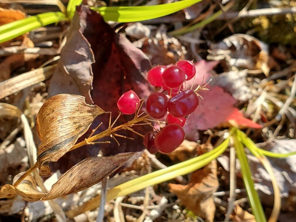 91 Greenleaf Brook Road Amity ME 04730