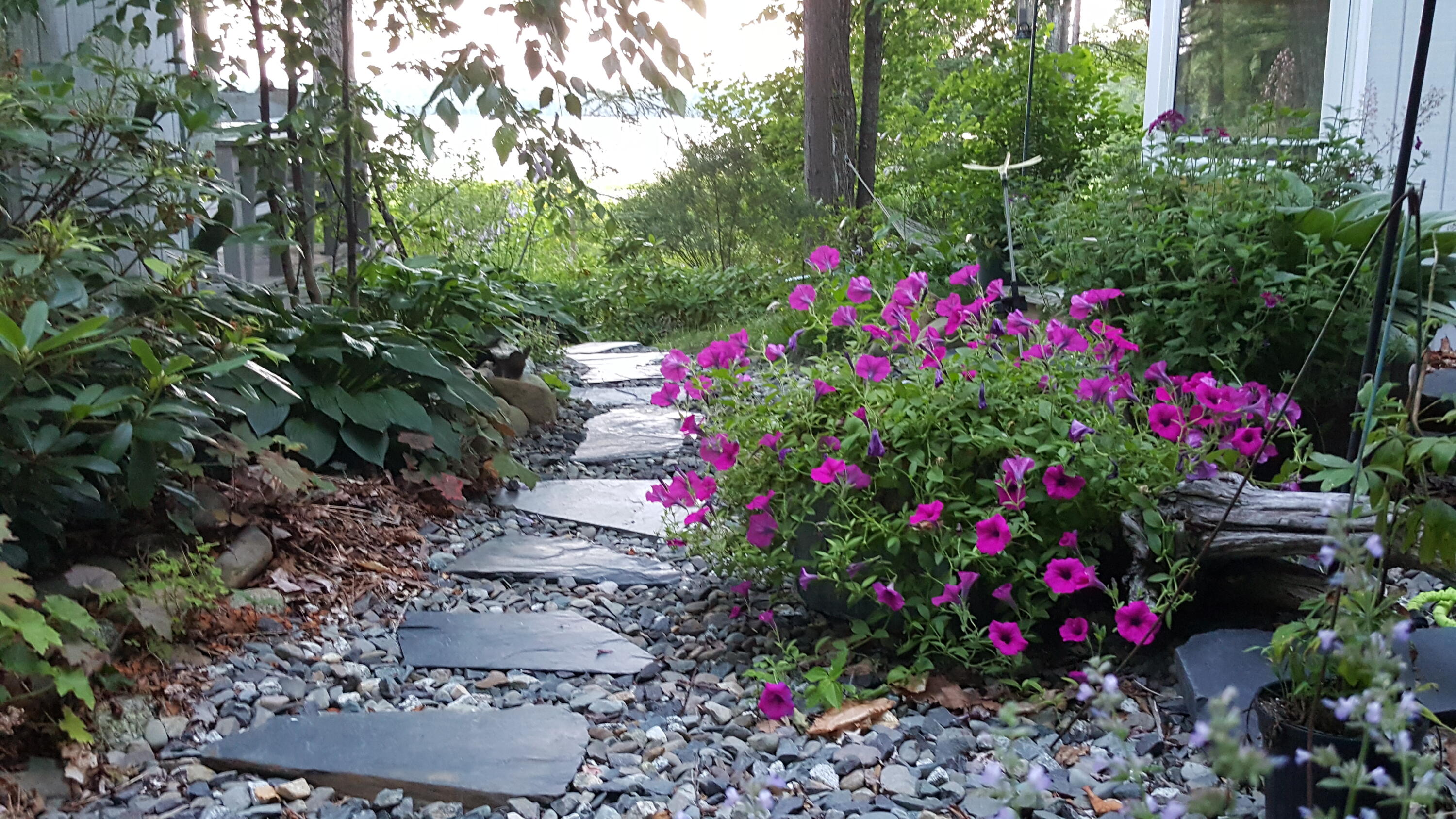 535 Green Lake Road Dedham ME 04429