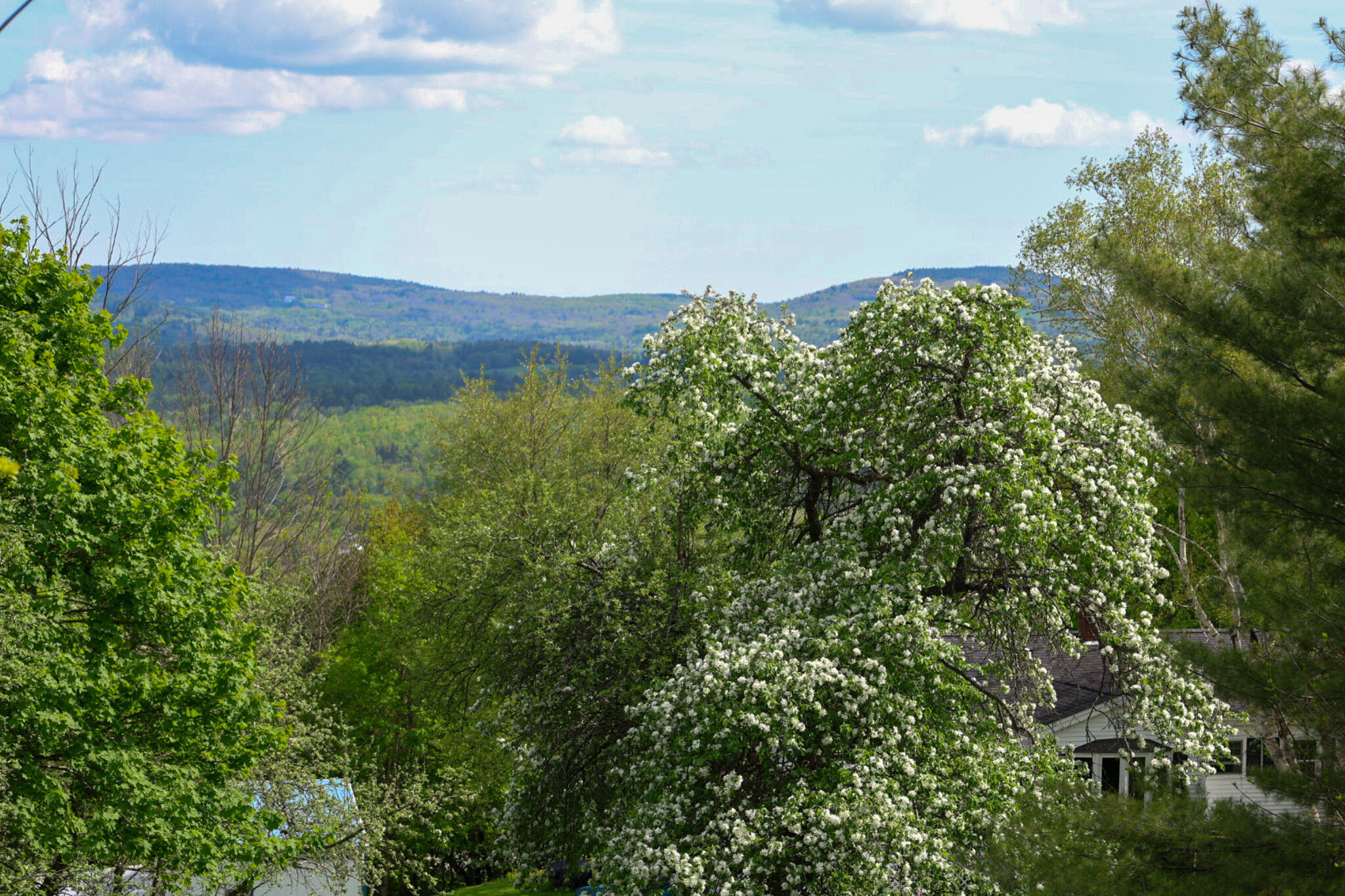 239 Temple Road Wilton ME 04294