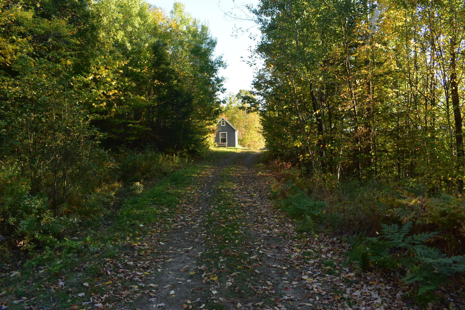 019 Bear Lane Rumford ME 04276