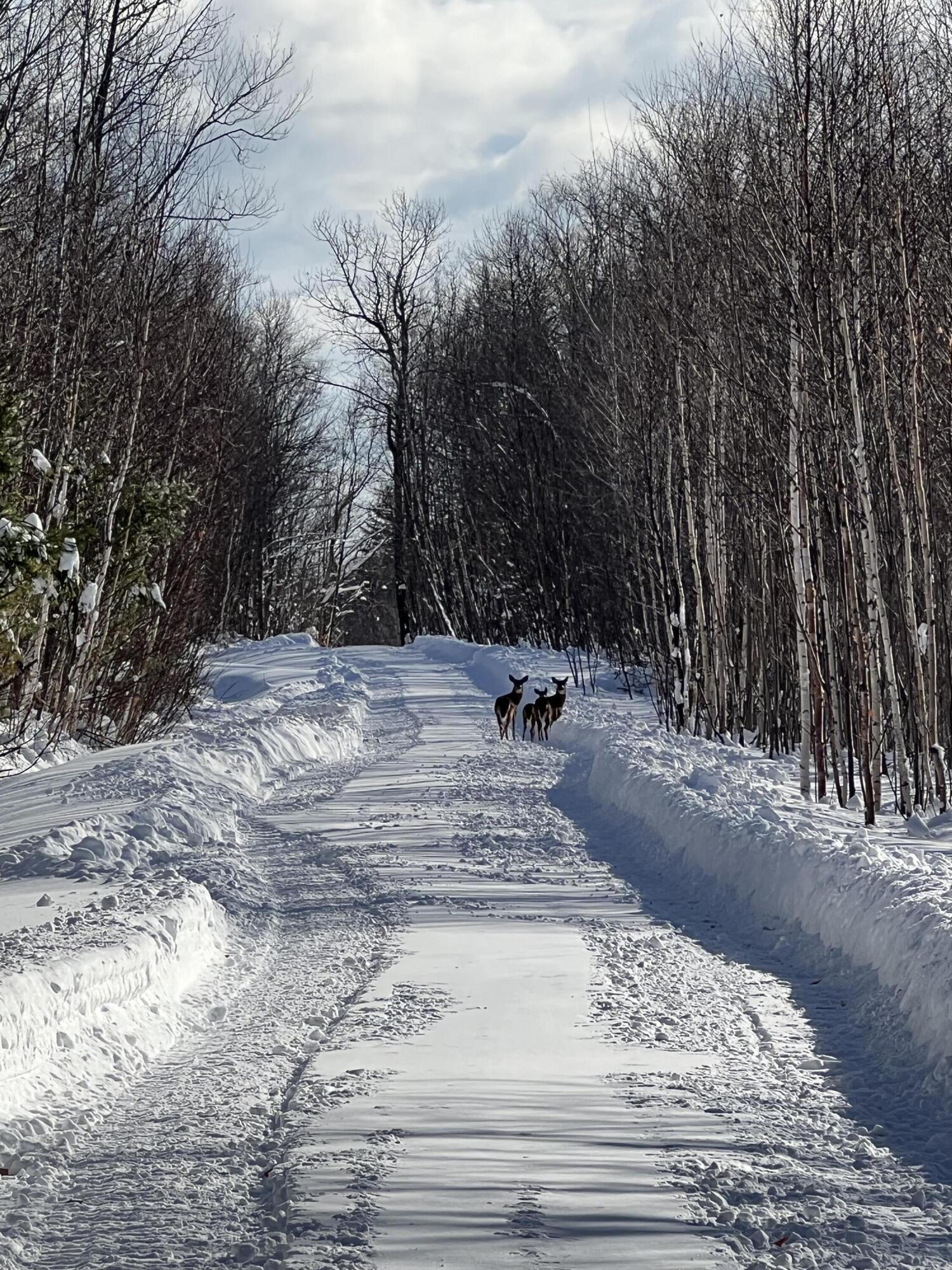 019 Bear Lane Rumford ME 04276