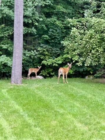 43 Darling Parke Drive Bangor ME 04401