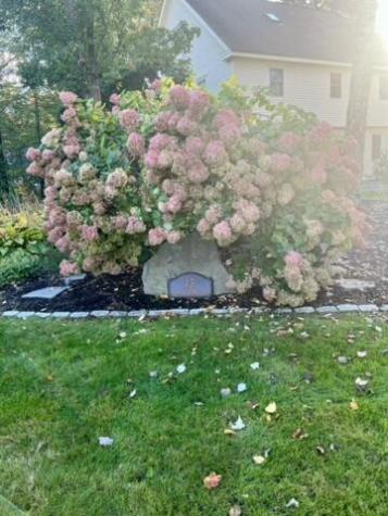 43 Darling Parke Drive Bangor ME 04401