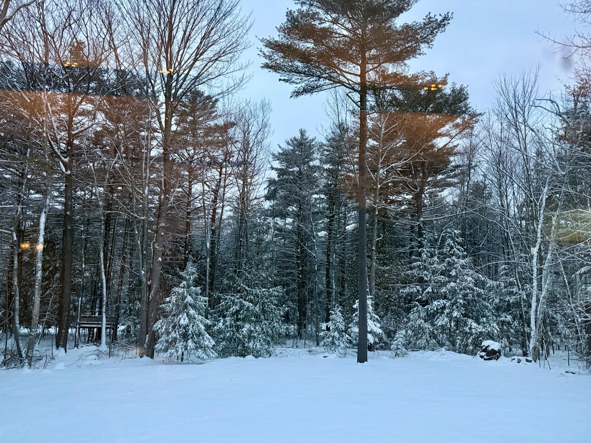 43 Darling Parke Drive Bangor ME 04401