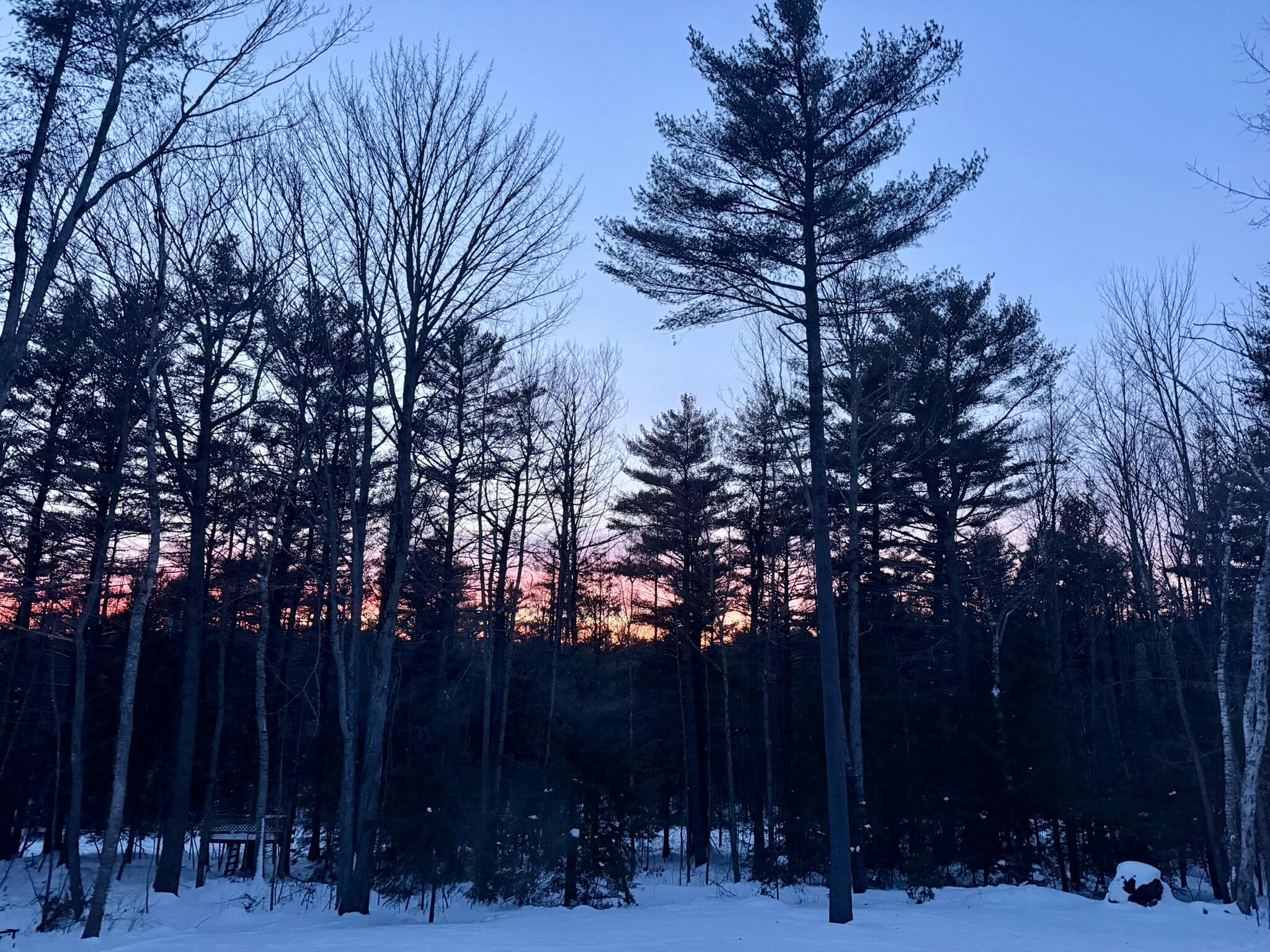 43 Darling Parke Drive Bangor ME 04401