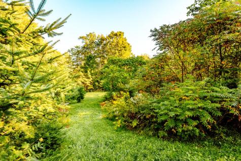 60 Mount Blue Pond Road Avon ME 04966