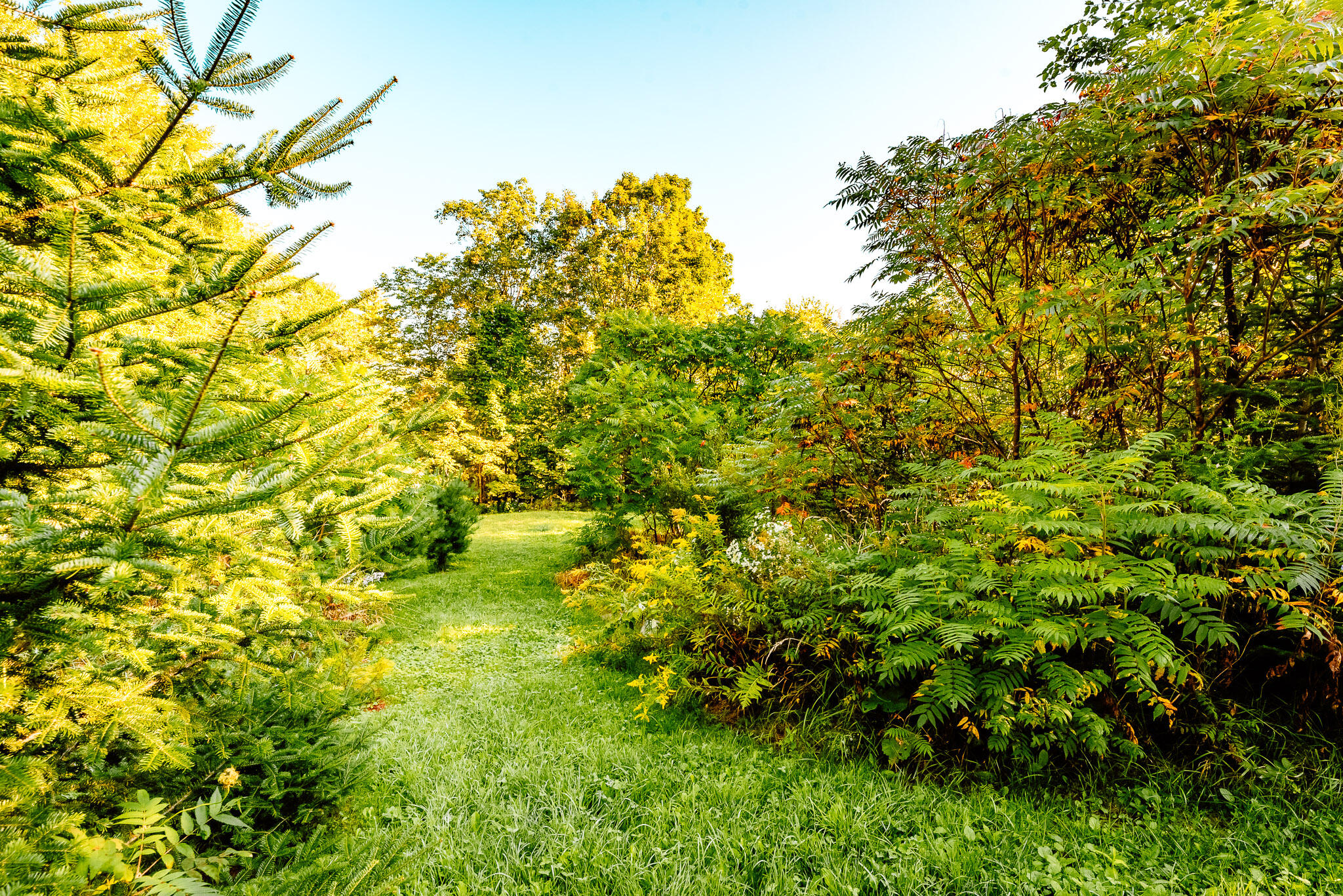 60 Mount Blue Pond Road Avon ME 04966