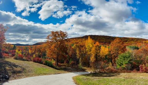 223 Bridge Street Newfield ME 04095