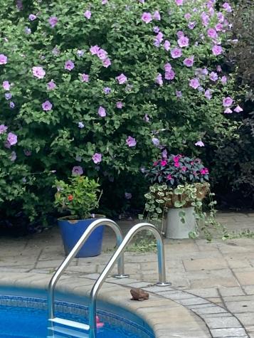 18 Monroe Street Auburn ME 04210