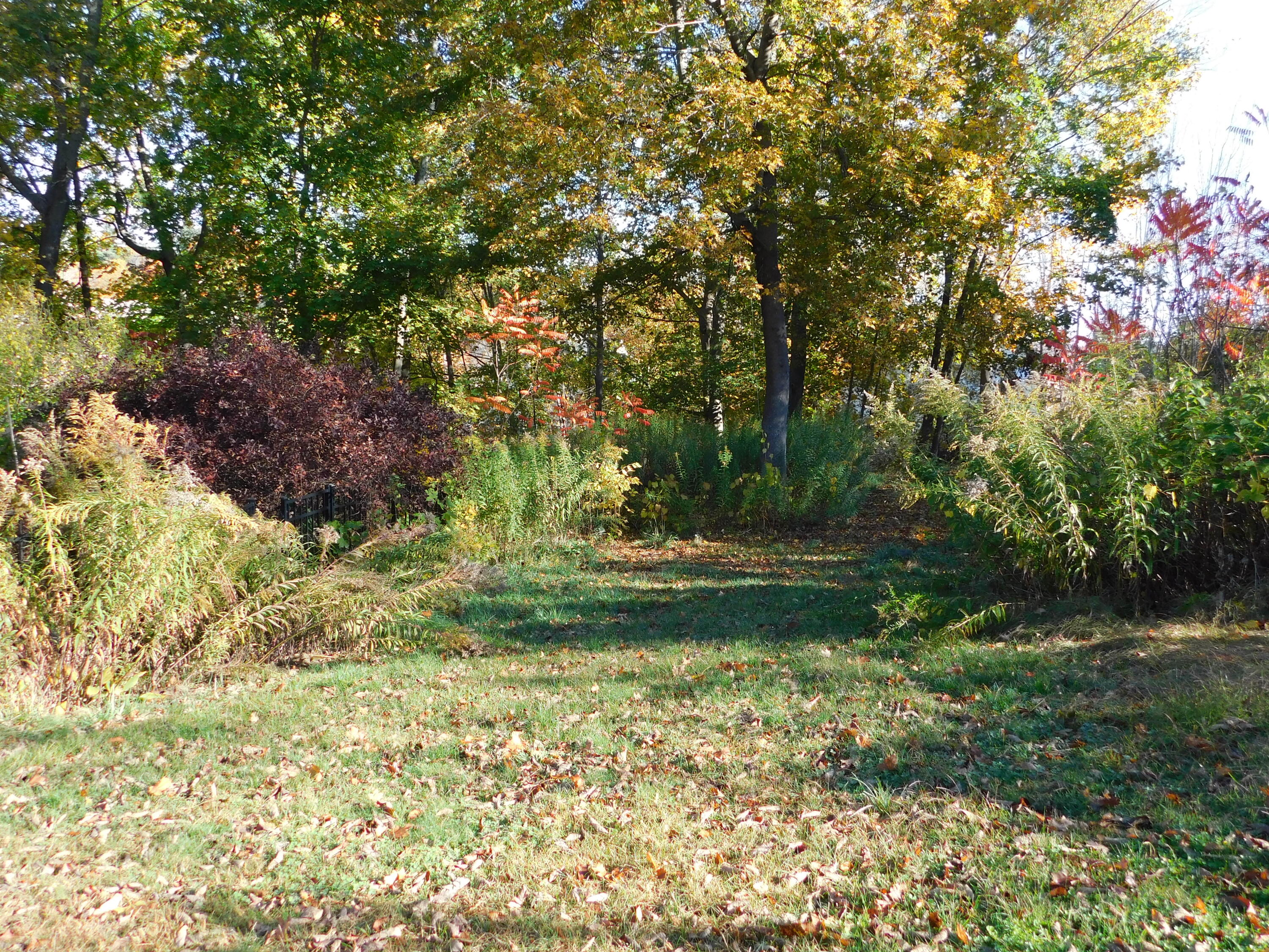 18 Monroe Street Auburn ME 04210