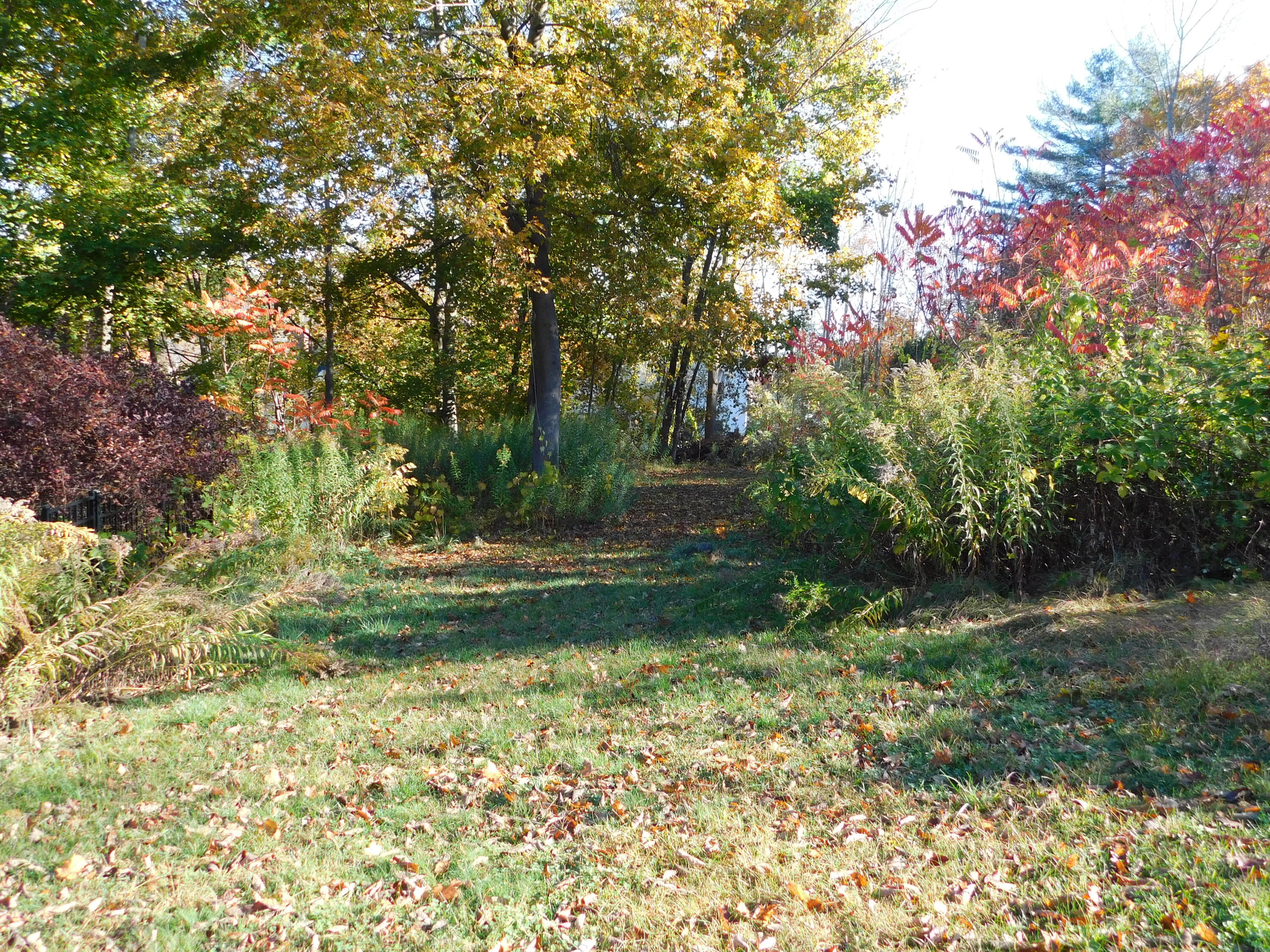 18 Monroe Street Auburn ME 04210