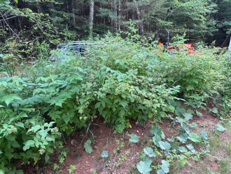 45 Oak Point Road Penobscot ME 04476