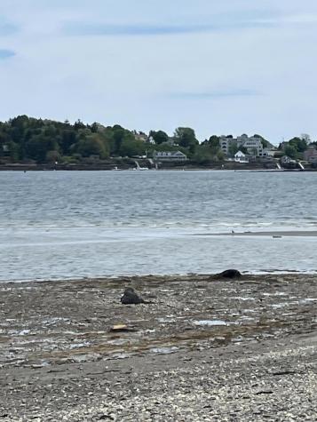 84 Stovers Point Road Harpswell ME 04079