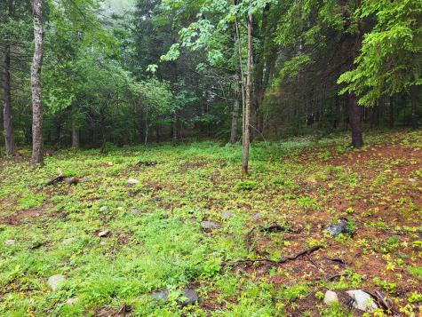 4 Pine Creek Lane Steuben ME 04680
