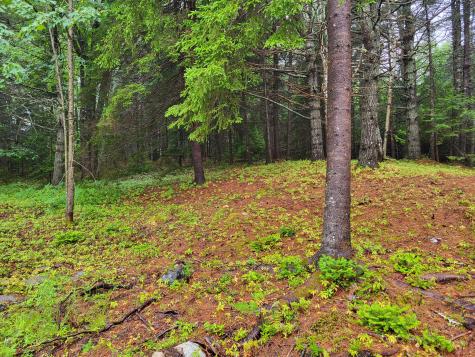 4 Pine Creek Lane Steuben ME 04680
