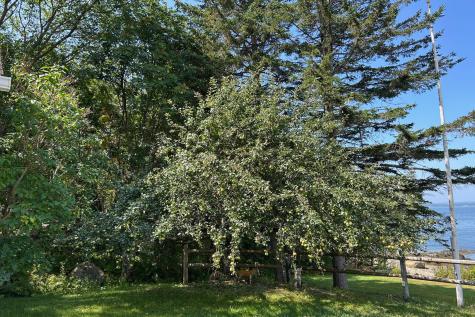 26 Loon Lane Penobscot ME 04476