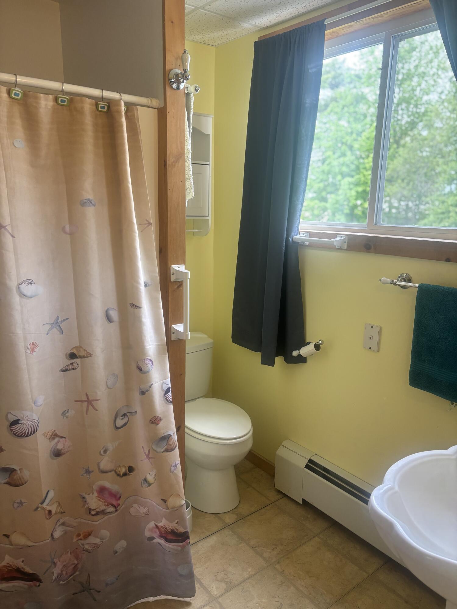 8 Lester Lane Burnham ME 04988