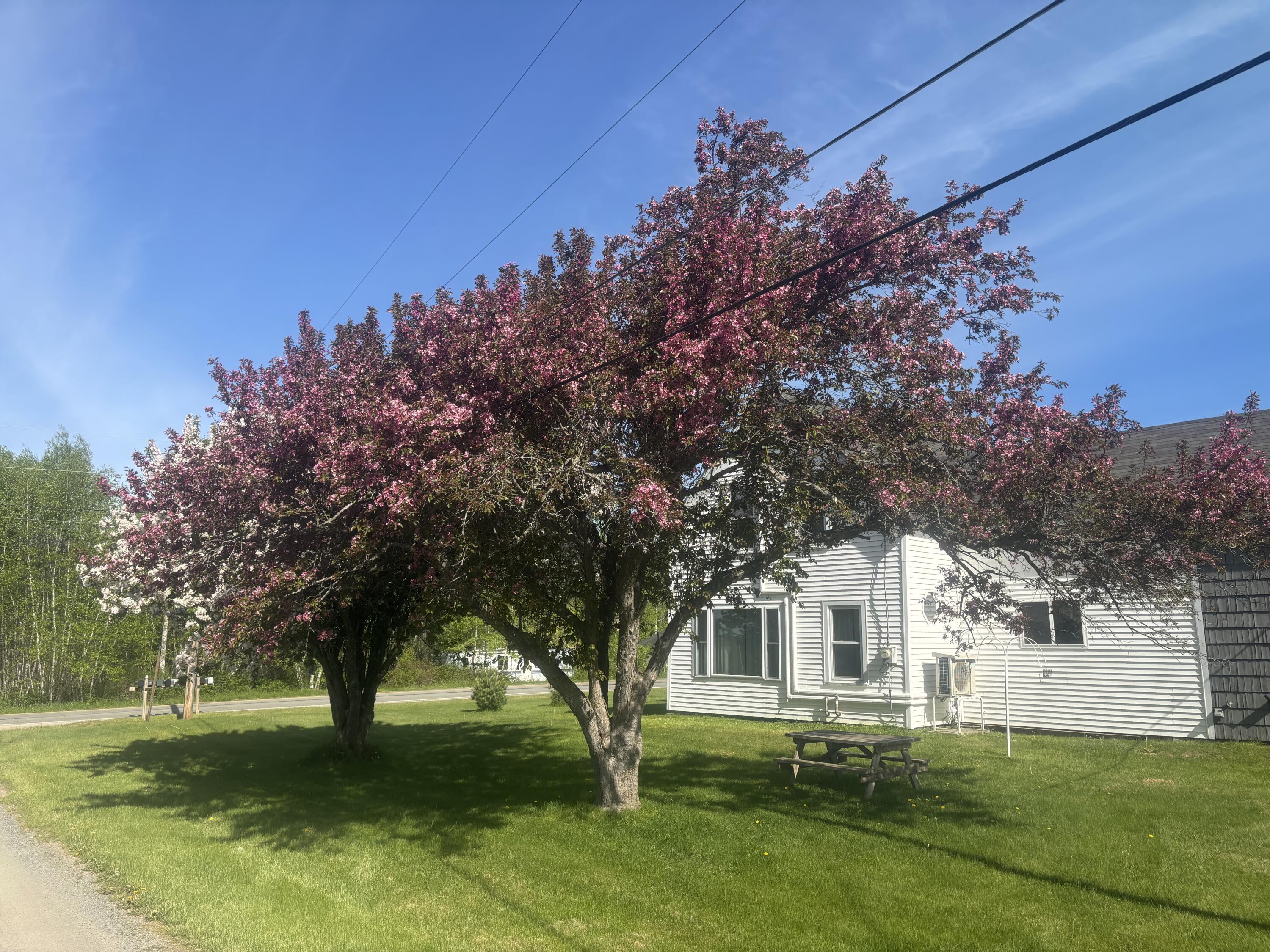 8 Lester Lane Burnham ME 04988