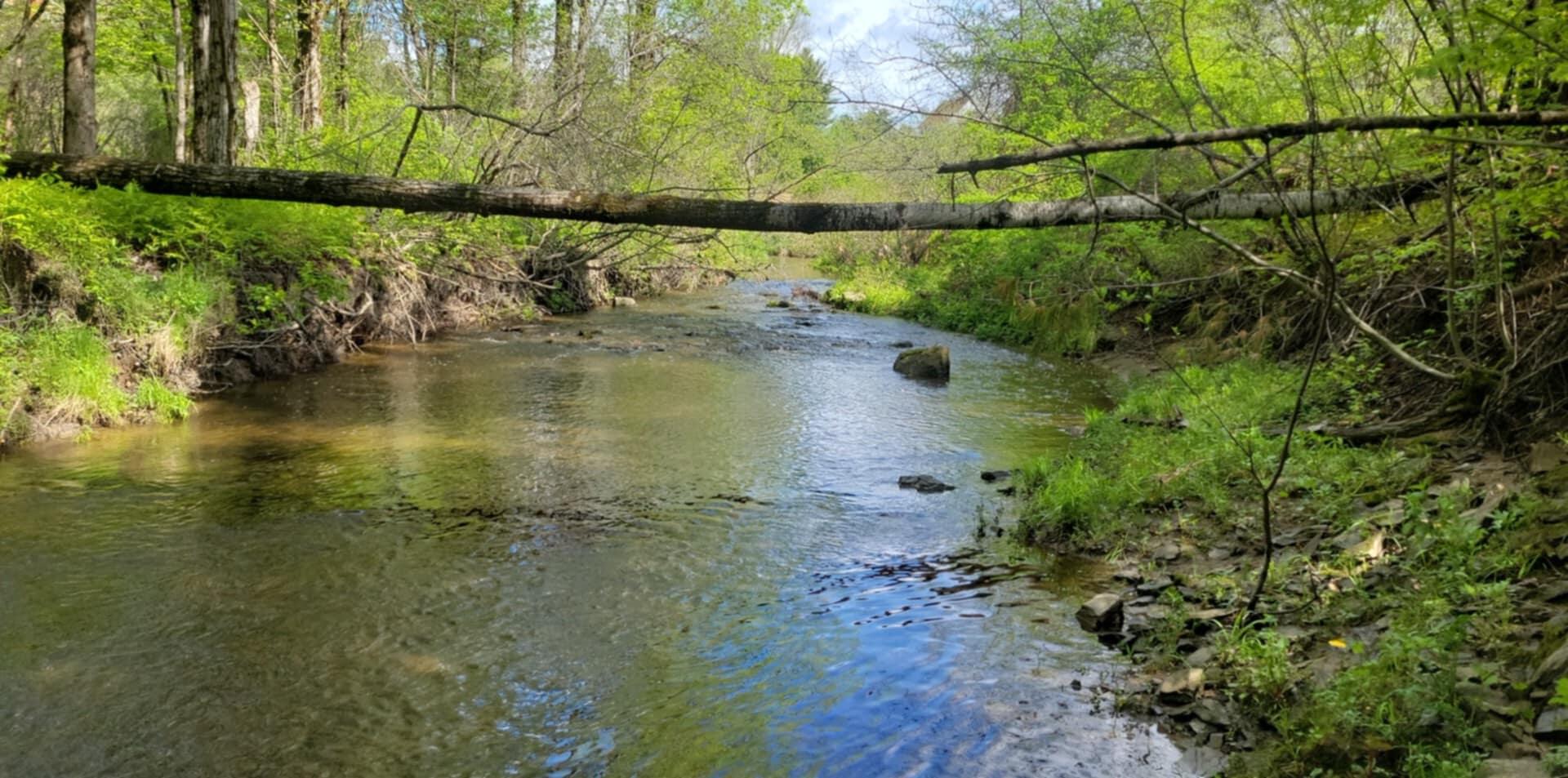 11 Dragonfly Lane Gorham ME 04038