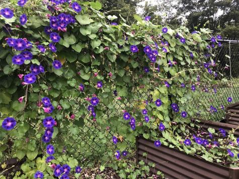 20 Thompson Road Veazie ME 04401