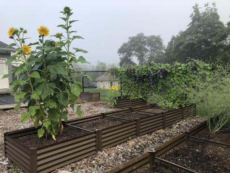 20 Thompson Road Veazie ME 04401