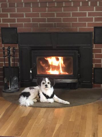 20 Thompson Road Veazie ME 04401