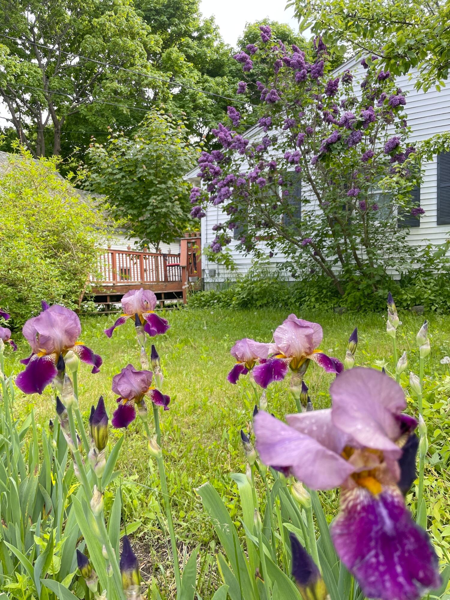 58 Warren Street Rockland ME 04841