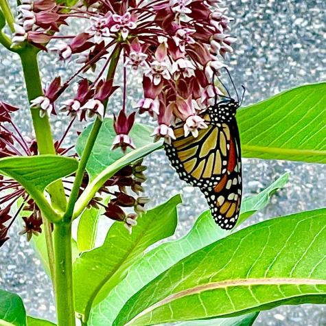 58 Warren Street Rockland ME 04841