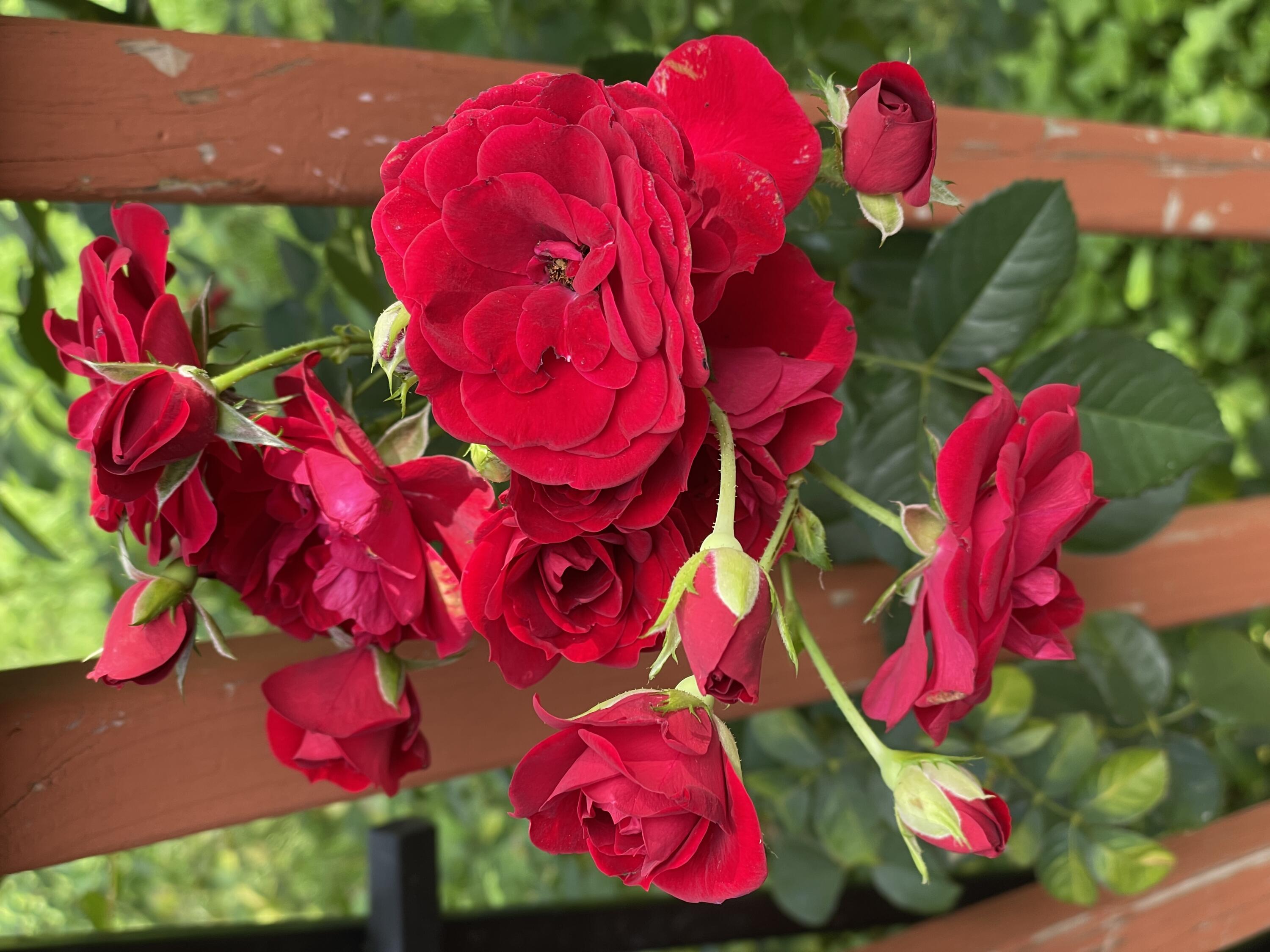 58 Warren Street Rockland ME 04841