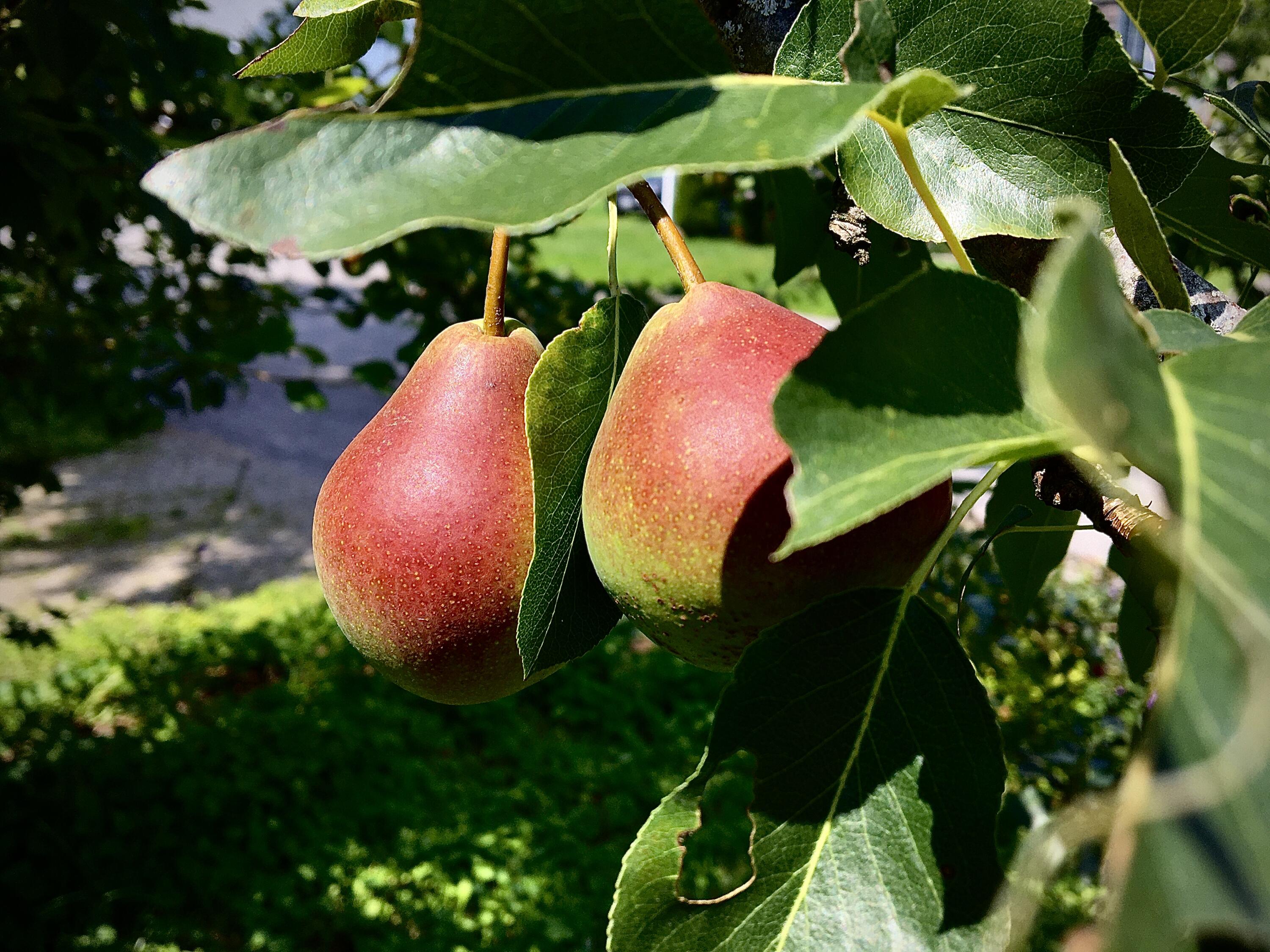 58 Warren Street Rockland ME 04841