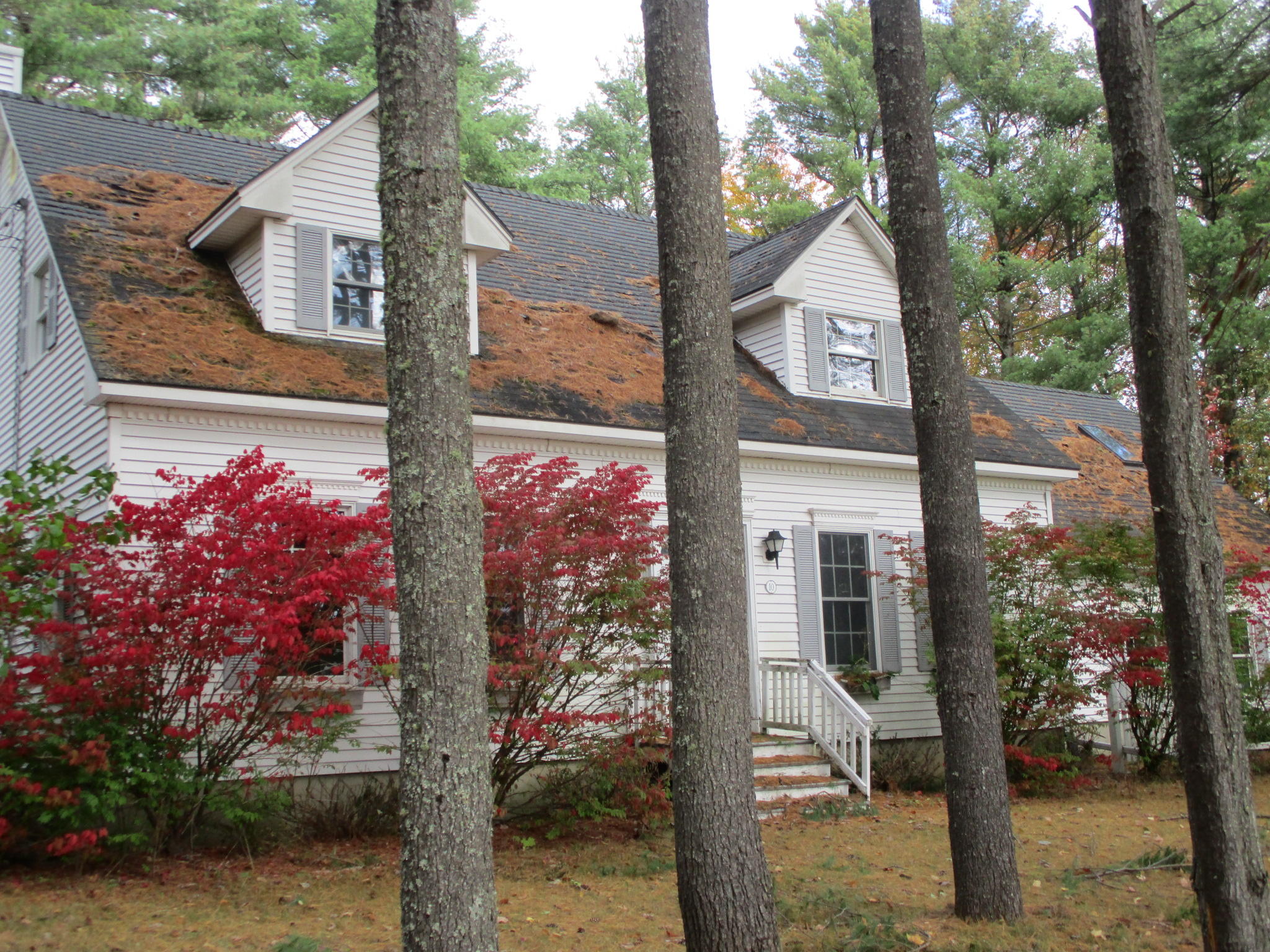 10 Ridgeview Lane Veazie, ME