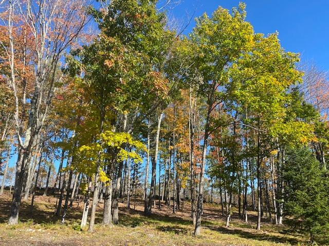 46 Powhatan Road Otisfield ME 04270