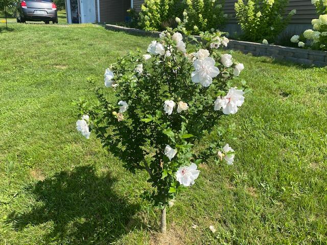 46 Powhatan Road Otisfield ME 04270
