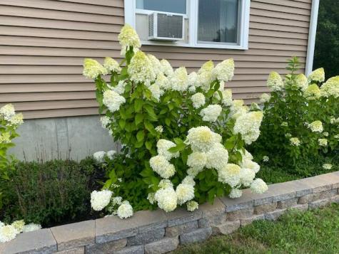 46 Powhatan Road Otisfield ME 04270