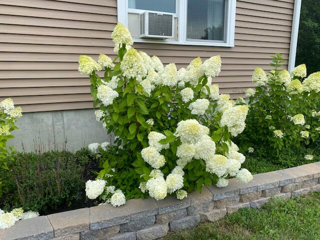 46 Powhatan Road Otisfield ME 04270