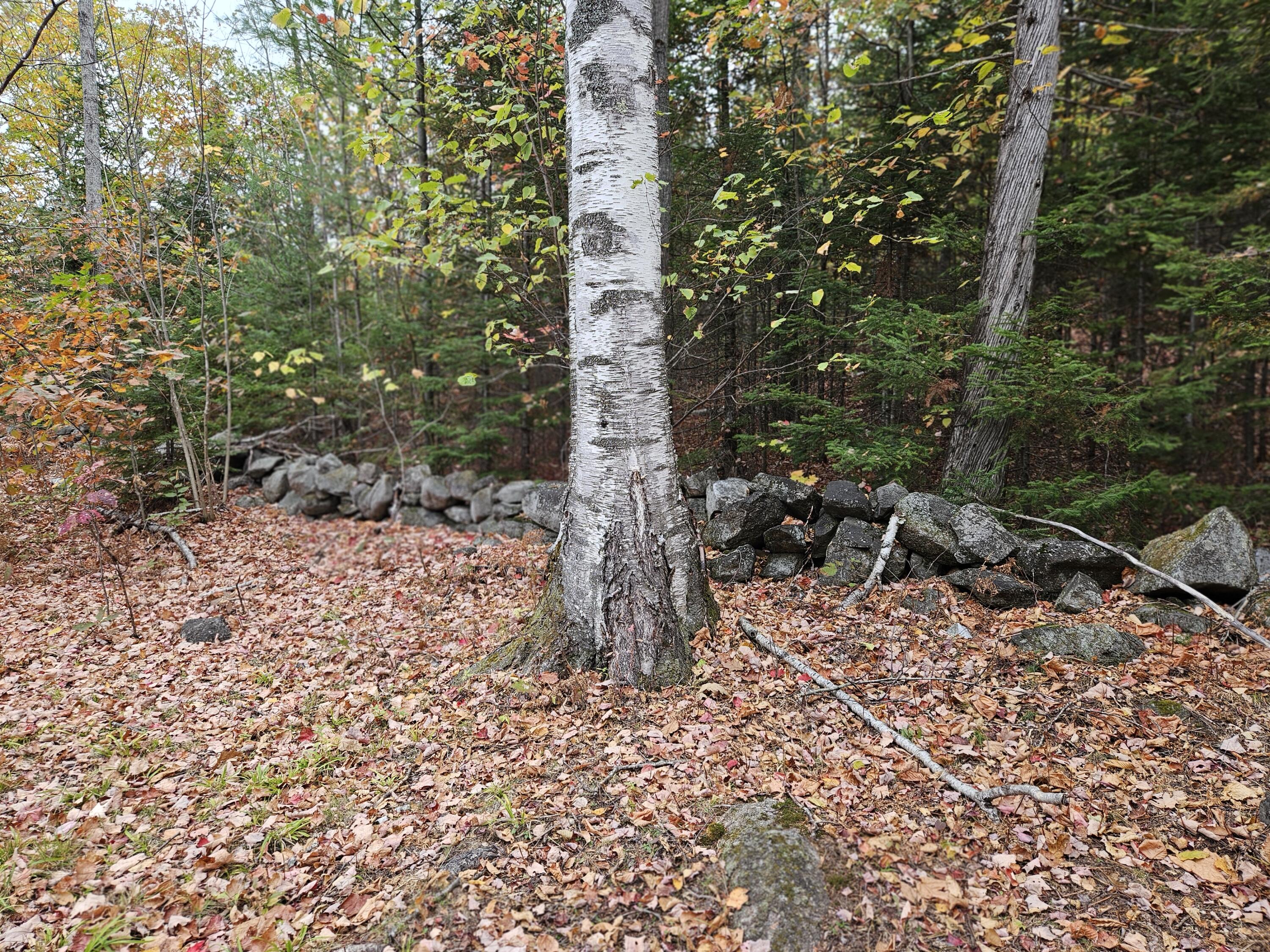 MR11 L35 Burbank Hill Road Avon ME 04966