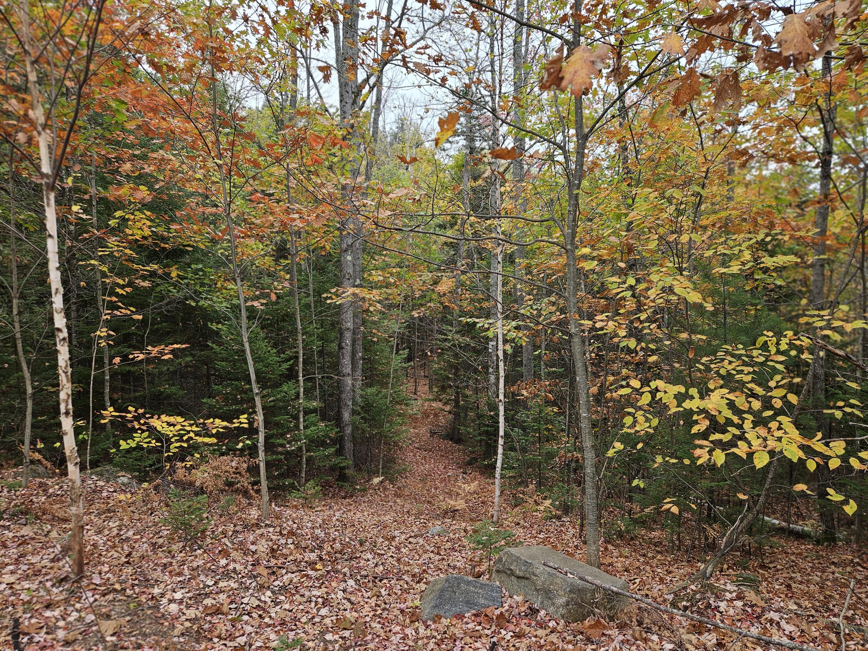 MR11 L35 Burbank Hill Road Avon ME 04966