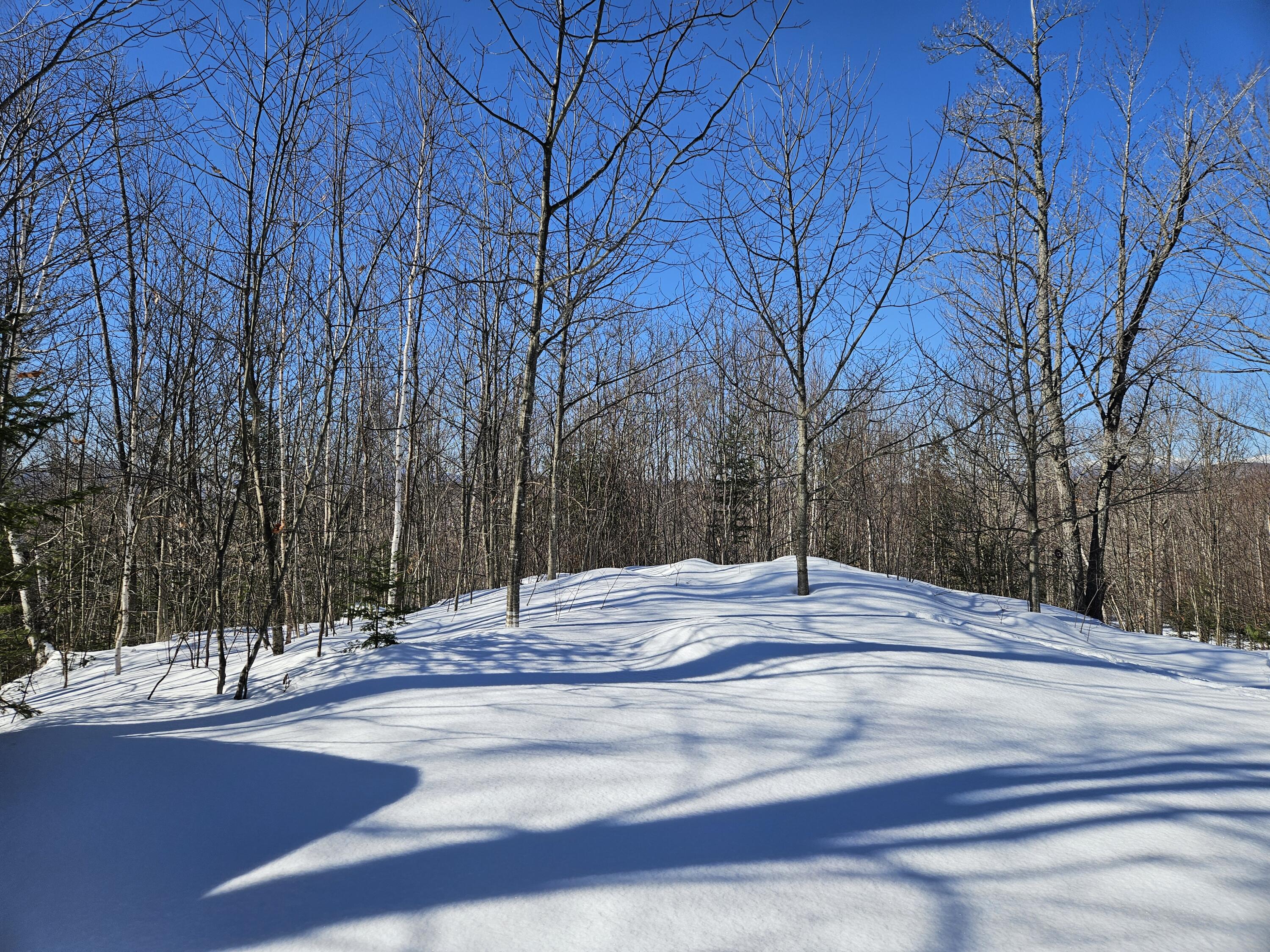 MR11 L35 Burbank Hill Road Avon ME 04966