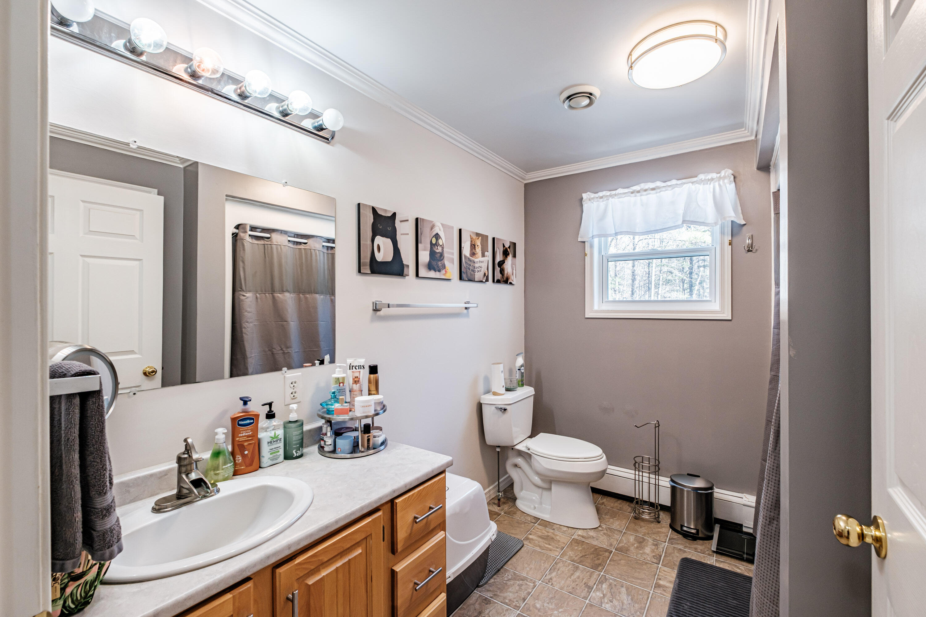 135 Roxbury Pond Road Andover ME 04216
