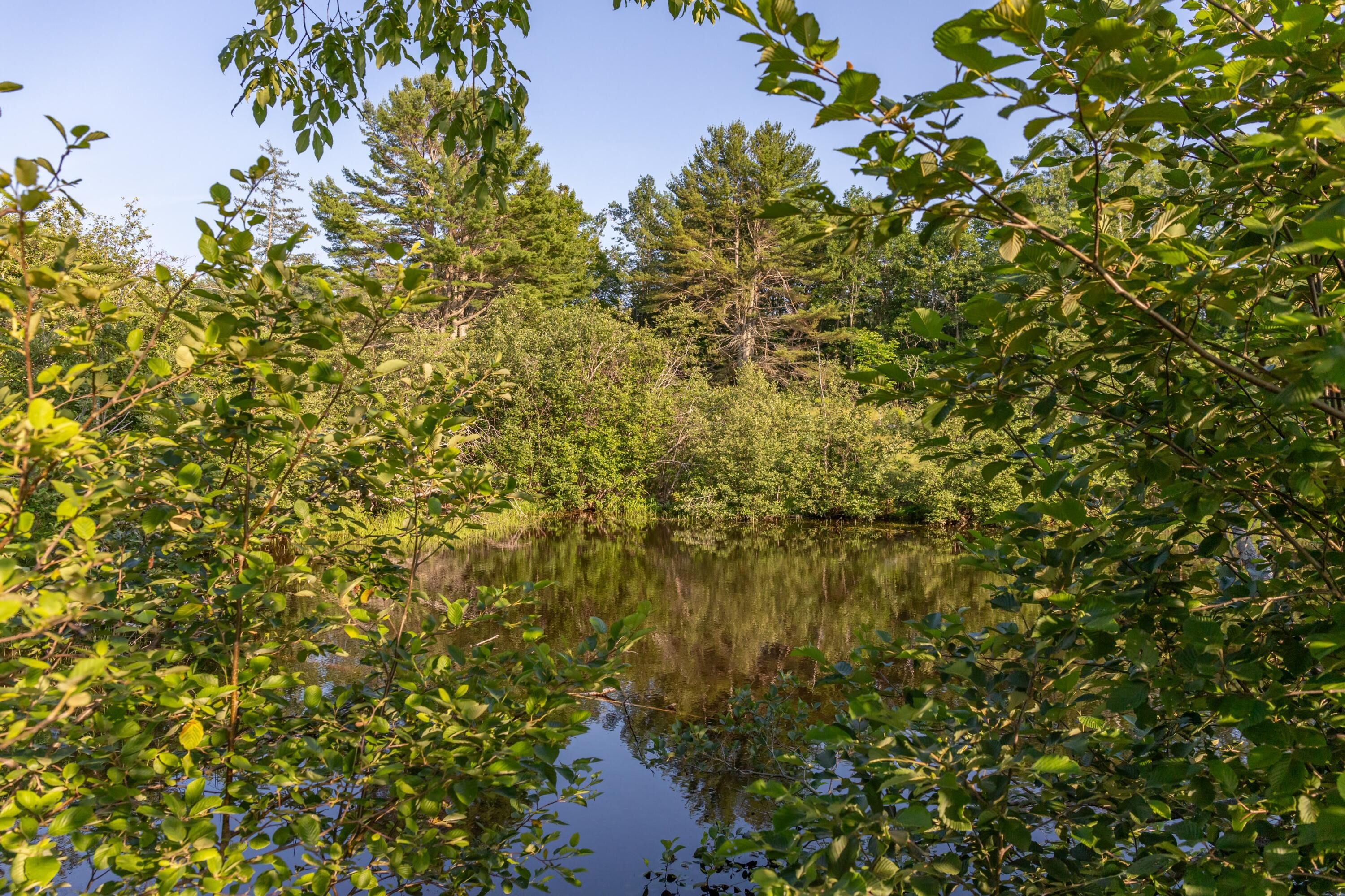 11 Woodbury Way Verona Island ME 04416